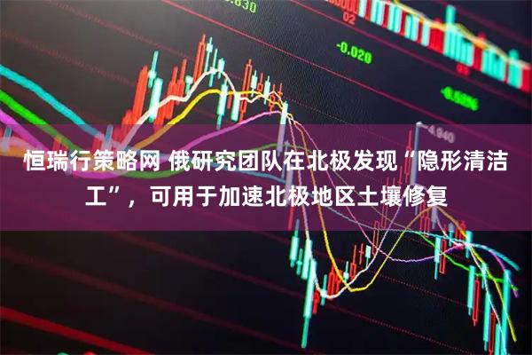 恒瑞行策略网 俄研究团队在北极发现“隐形清洁工”，可用于加速北极地区土壤修复