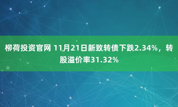 柳荷投资官网 11月21日新致转债下跌2.34%，转股溢价率31.32%
